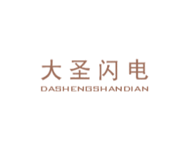 大圣闪电 第25类服装鞋帽商标转让 注册号51608579