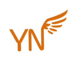 YN 第25类服装鞋帽商标转让 注册号42069831