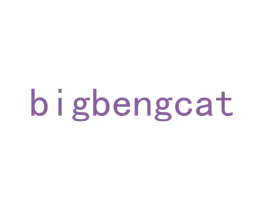 BIGBENGCAT