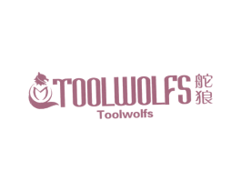 舵狼 TOOLWOLFS 第25类服装鞋帽商标转让 注册号48499305