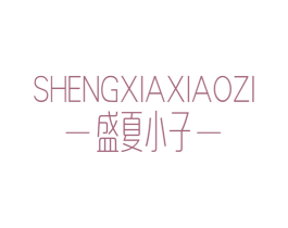 盛夏小子 第25类服装鞋帽商标转让 注册号32010903
