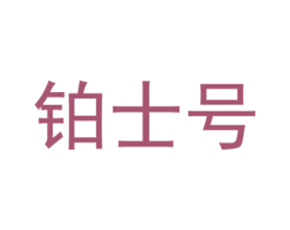 铂士号 第25类服装鞋帽商标转让 注册号54978727