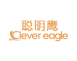 聪明鹰 CLEVER EAGLE