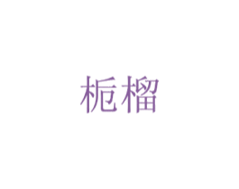 栀榴