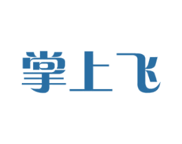 掌上飞