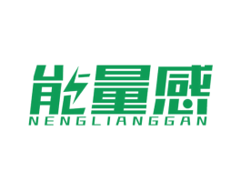 能量感 第09类科学仪器商标转让 注册号54239818