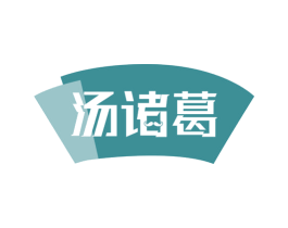 汤诸葛