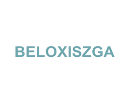 BELOXISZGA 第18类皮革箱包商标转让 注册号57866482