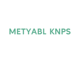 METYABL KNPS 第18类皮革箱包商标转让 注册号56166341
