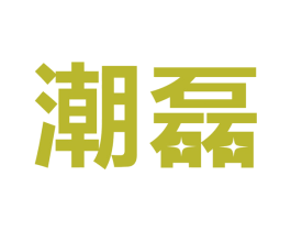 潮磊 第09类科学仪器商标转让 注册号53222318