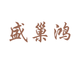 盛巢鸿