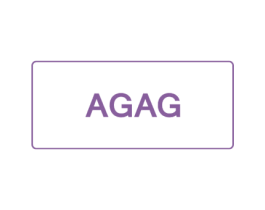 AGAG 第18类皮革箱包商标转让 注册号51481079