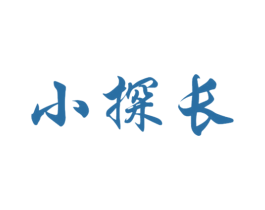 小探长