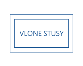 VLONE STUSY