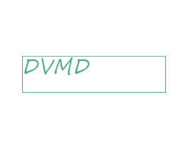 DVMD 第25类服装鞋帽商标转让 注册号49483768