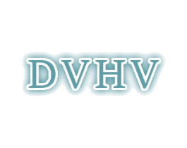 DVHV 第25类服装鞋帽商标转让 注册号48057540