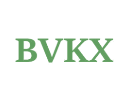 BVKX 第25类服装鞋帽商标转让 注册号49201743