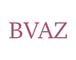 BVAZ 第25类服装鞋帽商标转让 注册号49214706