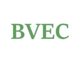 BVEC 第25类服装鞋帽商标转让 注册号49214423