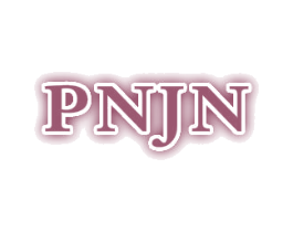 PNJN 第25类服装鞋帽商标转让 注册号48062393