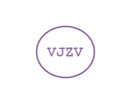 VJZV 第25类服装鞋帽商标转让 注册号48155819