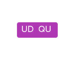 UD QU 第25类服装鞋帽商标转让 注册号48155850