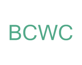BCWC 第25类服装鞋帽商标转让 注册号45714593