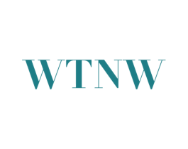 WTNW 第25类服装鞋帽商标转让 注册号44297358