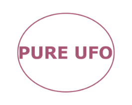 PURE UFO 第25类服装鞋帽商标转让 注册号55573646