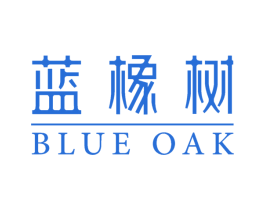 蓝橡树 BLUE OAK 第09类科学仪器商标转让 注册号18413001