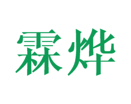 霖烨 第10类医疗器械商标转让 注册号45394365