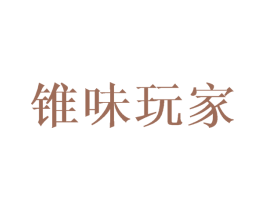 锥味玩家 第09类科学仪器商标转让 注册号43245751