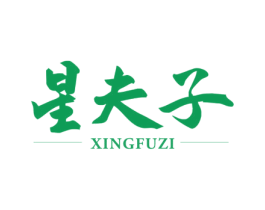 星夫子