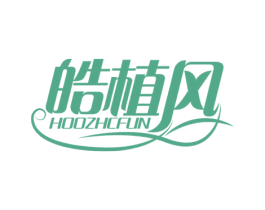 皓植风 HOOZHCFUN