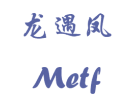 龙遇凤 METF 第10类医疗器械商标转让 注册号23192687