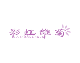 彩虹雏菊
