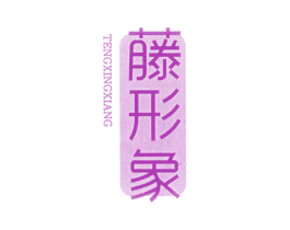 藤形象