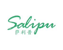 萨利普 第25类服装鞋帽商标转让 注册号24218796