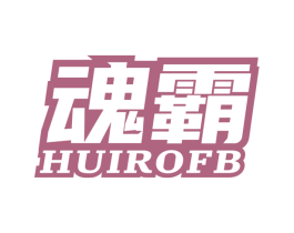 魂霸 HUIROFB 第09类科学仪器商标转让 注册号53019232