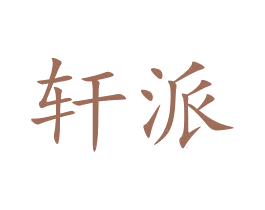 轩派 第10类医疗器械商标转让 注册号46248312