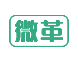 微革 第09类科学仪器商标转让 注册号56055920