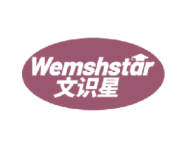 文识星 WEMSHSTAR