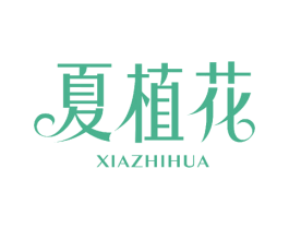 商标效果图