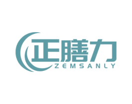 正膳力 ZEMSANLY