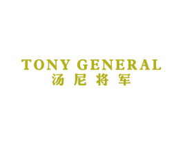 汤尼将军 TONY GENERAL 第25类服装鞋帽商标转让 注册号42991907