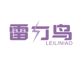 雷力鸟 第09类科学仪器商标转让 注册号45853877