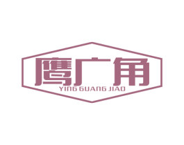 鹰广角 第09类科学仪器商标转让 注册号38170647