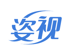 姿视