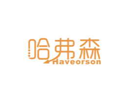 哈弗森 HAVEORSON 第09类科学仪器商标转让 注册号47949951