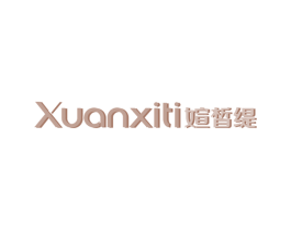 媗皙缇 第10类医疗器械商标转让 注册号49295205
